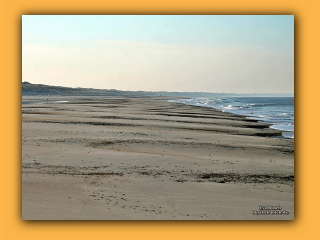 Am Strand von Nymindegab (8).jpg